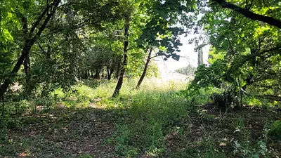 Terrain à bâtir, 937 m²