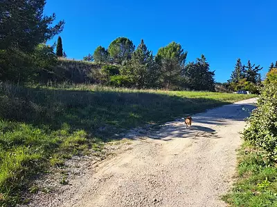 Maison neuve, 95 m²