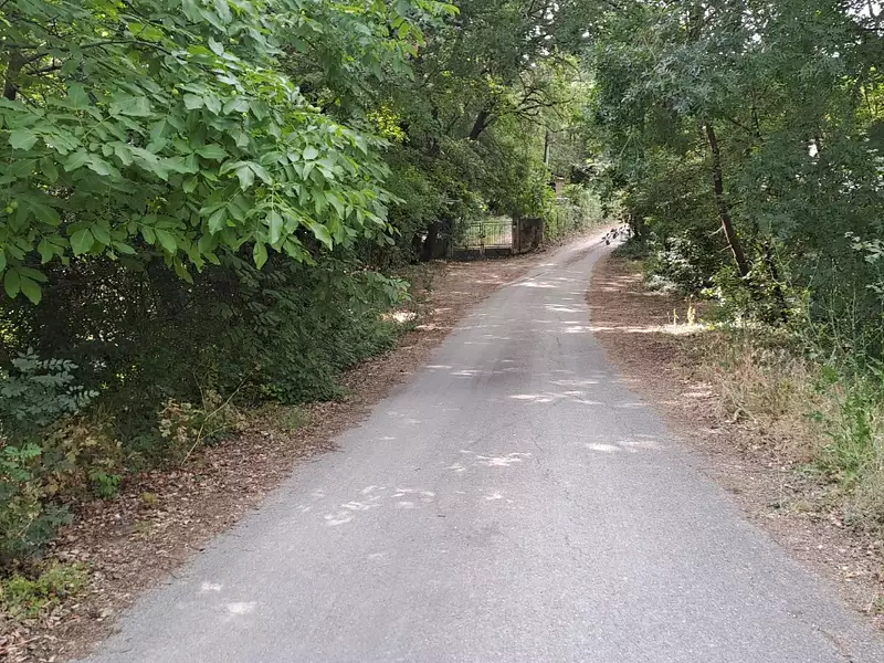 Maison neuve, 95 m² - Plan-d'Aups-Sainte-Baume (83640)