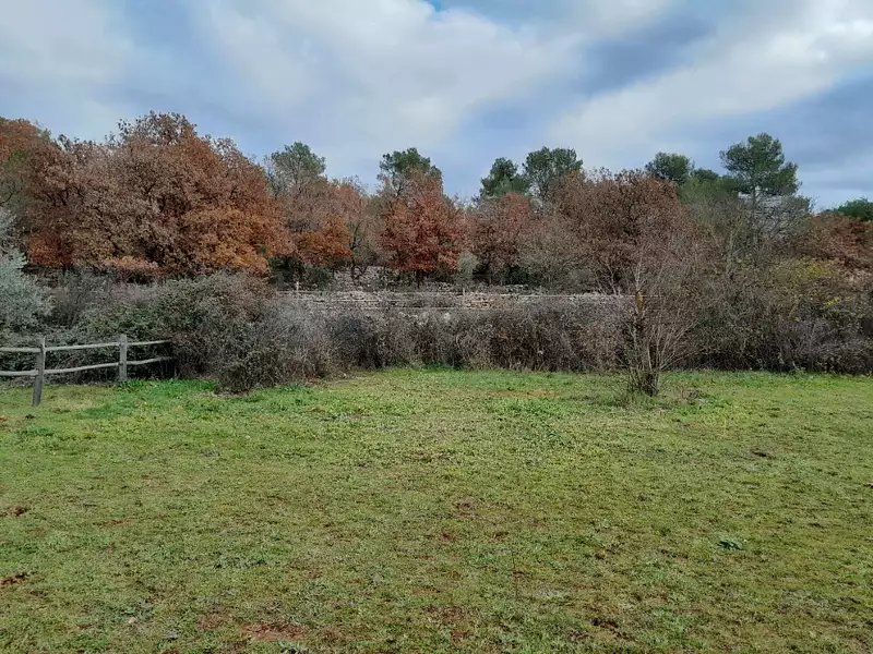 Terrain à bâtir, 3 000 m² - Saint-Maximin-la-Sainte-Baume (83470)