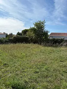 Maison neuve, 75 m²