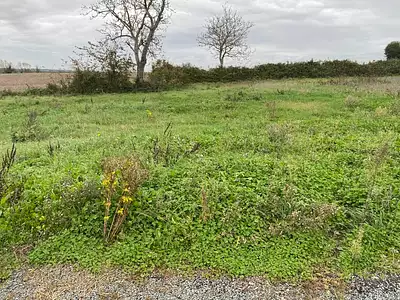 Maison neuve, 69 m²