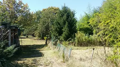 Maison neuve, 100 m²