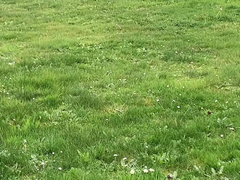 Terrain à bâtir, 630 m² - Saint-Michel-Chef-Chef (44730)