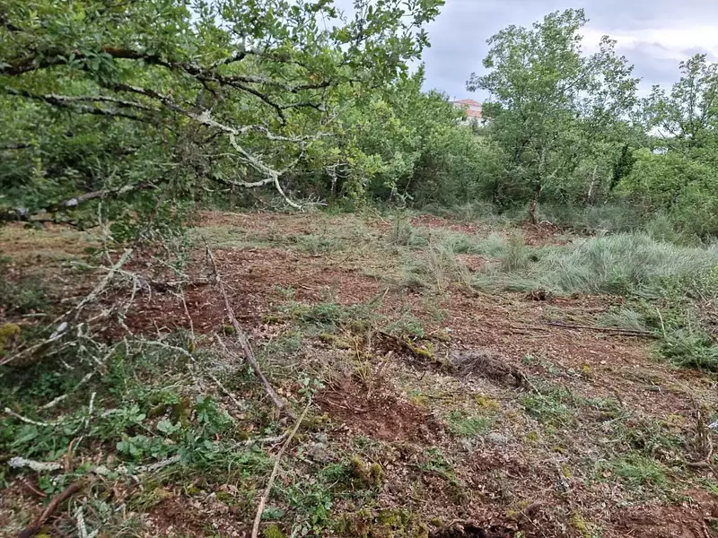 Terrain à bâtir, 1 500 m² - Cézac (46170)