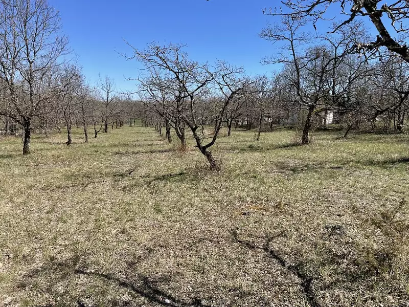 Terrain à bâtir, 1 200 m² - Lhospitalet (46170)