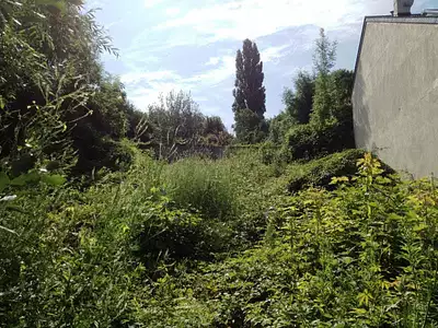 Terrain à bâtir, 800 m²