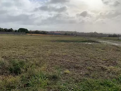 Maison neuve, 60 m²