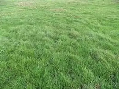 Terrain à bâtir, 736 m²