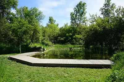 Le Cèdre Bleu
