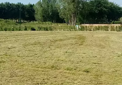 Maison neuve, 140 m²