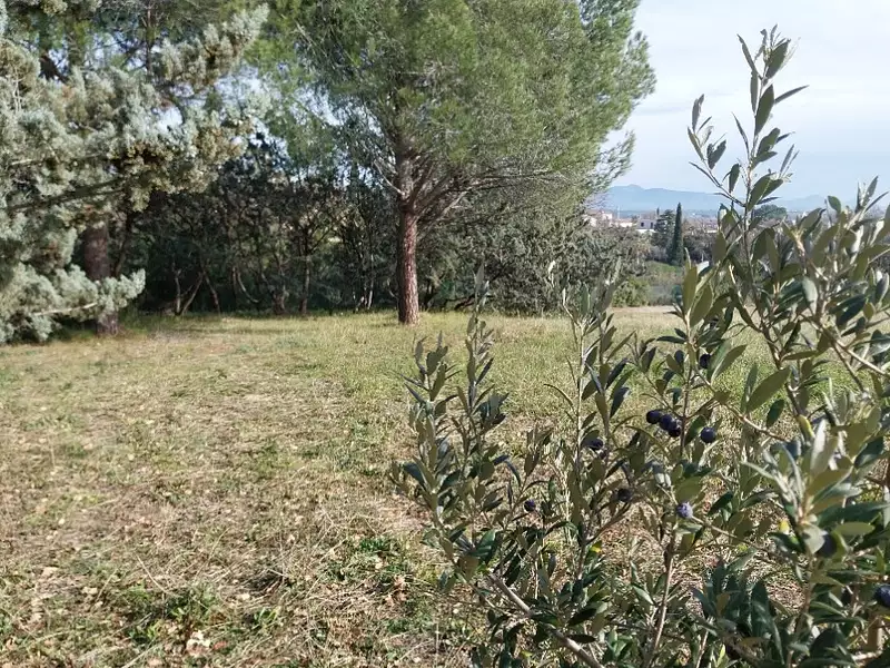 Terrain à bâtir, 400 m² - Roquebrune-sur-Argens (83520)