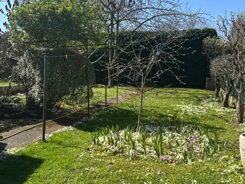 Terrain à bâtir, 457 m² - Antony (92160)