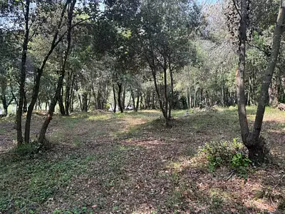 Terrain à bâtir, 1 317 m²