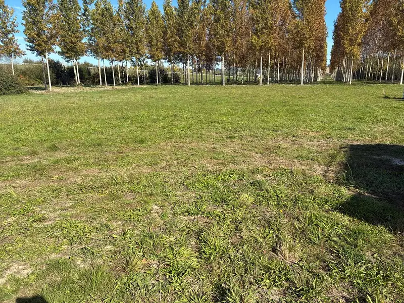 Terrain à bâtir, 1 000 m² - Beaupuy (47200)