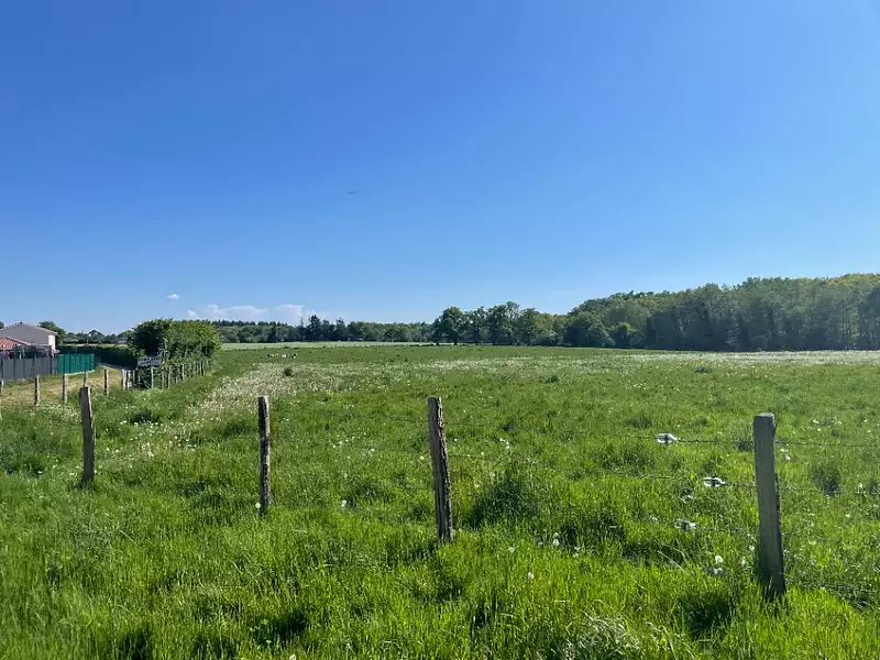 Terrain à bâtir, 500 m² - Dompierre-sur-Veyle (01240)