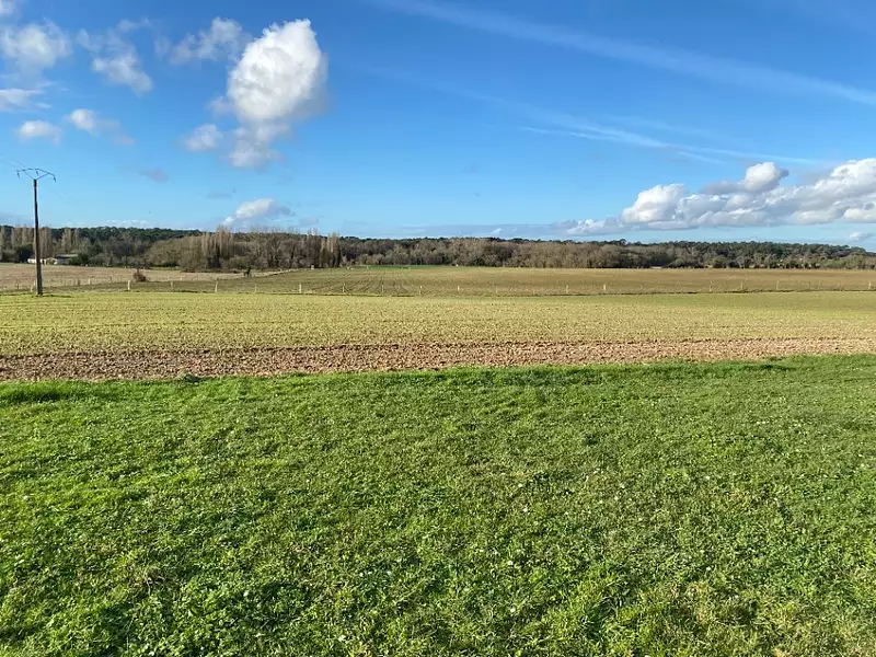 Maison neuve, 100 m² - Meschers-sur-Gironde (17132)