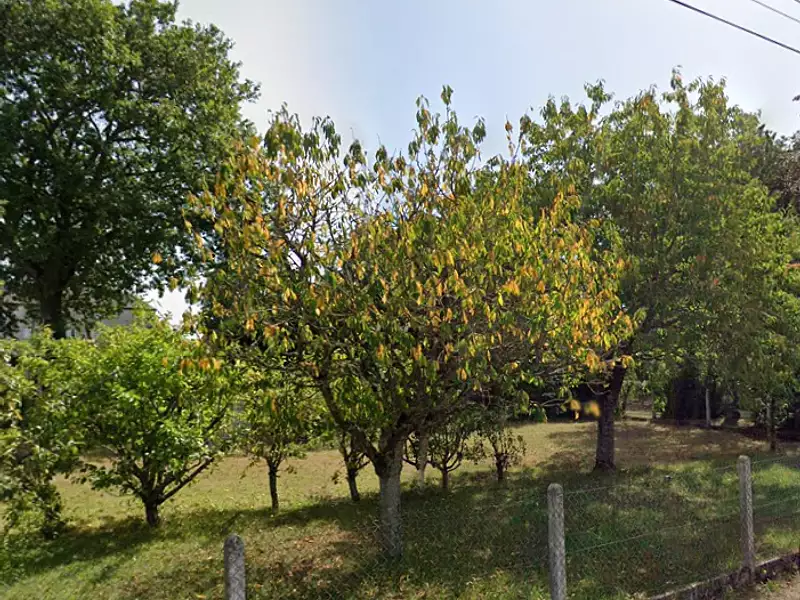 Terrain à bâtir, 523 m² - Neuville-aux-Bois (45170)