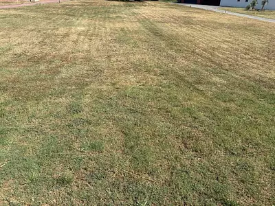 Maison neuve, 73 m²