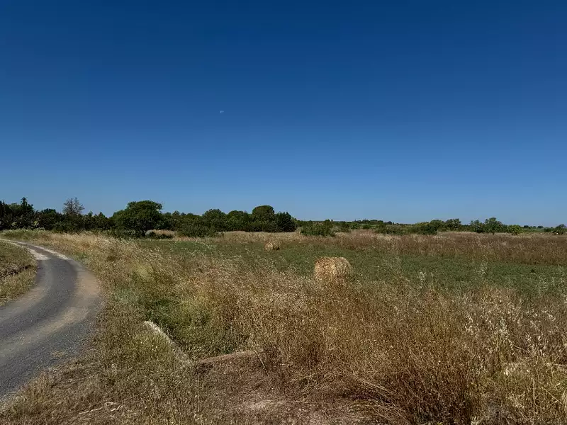 Maison neuve, 78 m² - Marseillan (34340)