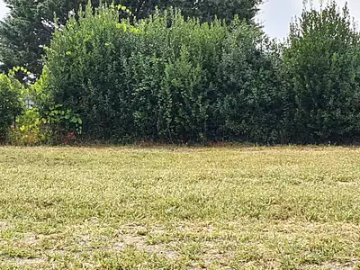 Maison neuve, 100 m²