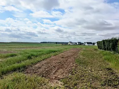 Maison neuve, 65 m²