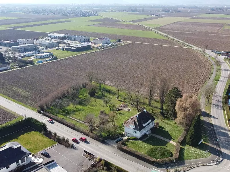 Route d'Andolsheim - Bischwihr (68320)