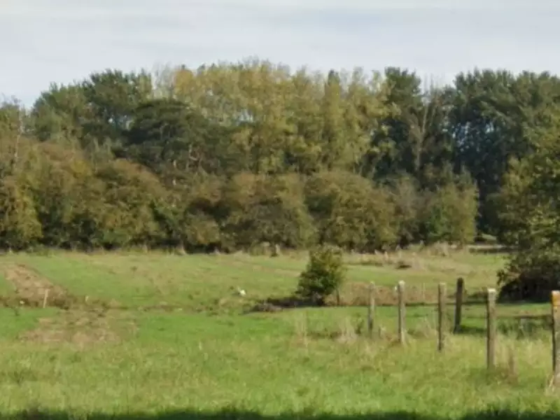 Terrain à bâtir, 300 m² - Tourmignies (59551)