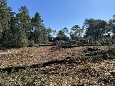 Maison neuve, 78 m²