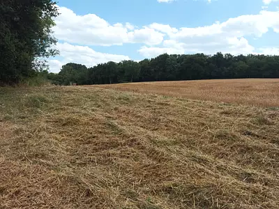 Maison neuve, 142 m²