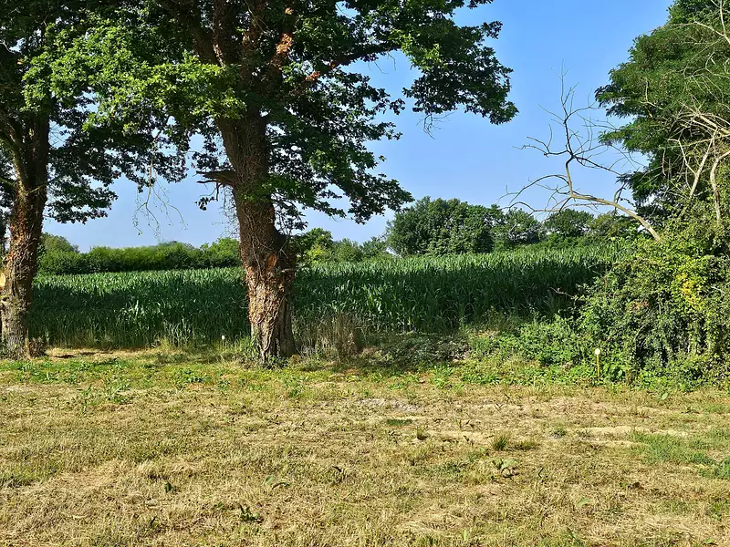 Maison neuve, 150 m² - Curtafond (01310)