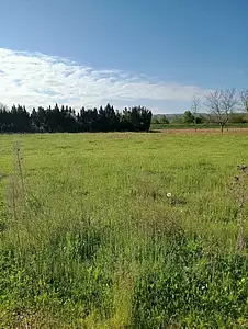 Terrain à bâtir, 572 m²