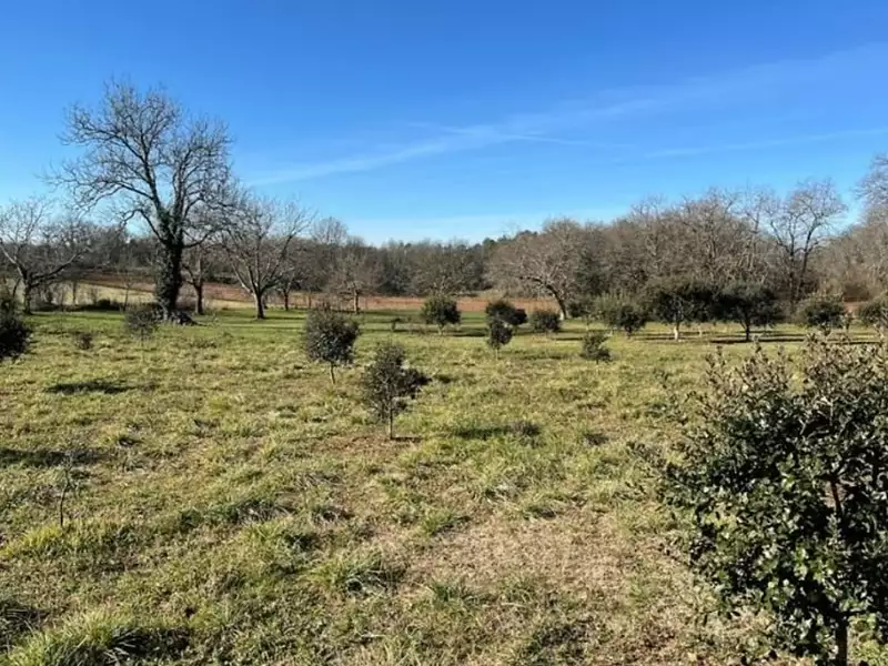 Terrain à bâtir, 3 800 m² - Hautefort (24390)