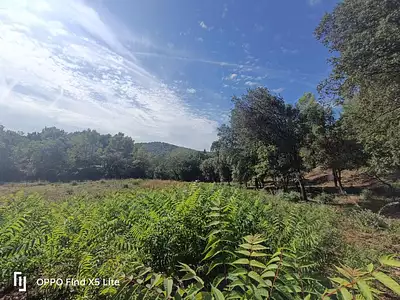 Maison neuve, 120 m²