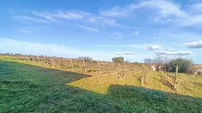 Terrain à bâtir, 1 643 m²
