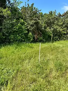 Terrain à bâtir, 642 m²