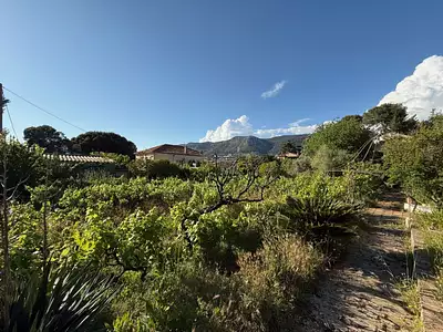 Maison neuve, 85 m²