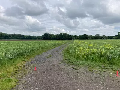 Maison neuve, 140 m²