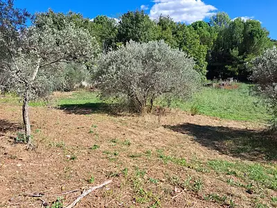 Maison neuve, 140 m²