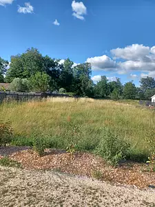 Terrain à bâtir, 729 m²