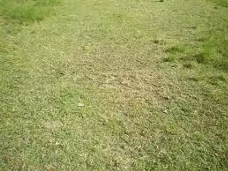 Terrain à bâtir, 590 m² - Mettray (37390)