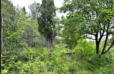 Terrain à bâtir, 660 m²