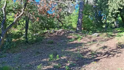 Maison neuve, 85 m²