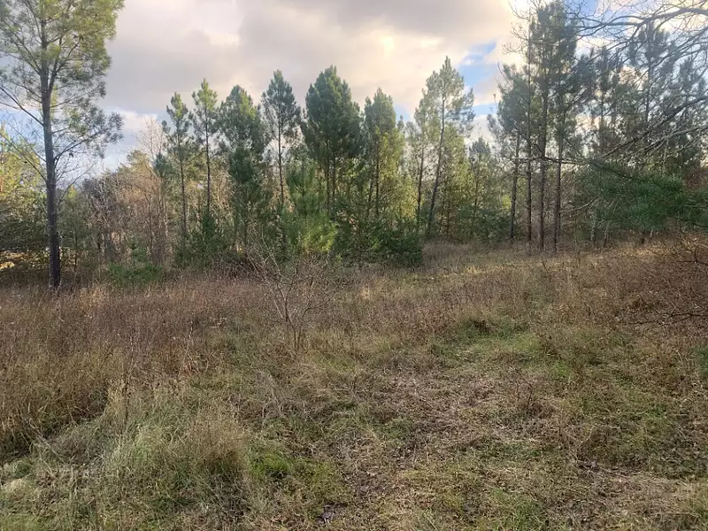 Terrain à bâtir, 1 666 m² - Vagnas (07150)