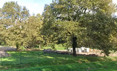 Terrain à bâtir, 800 m²