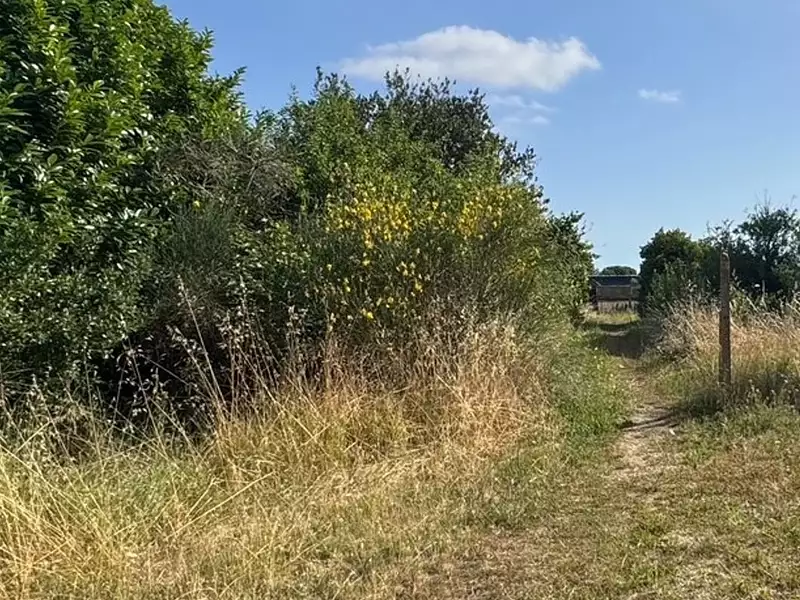 Maison neuve, 154 m² - Angoulins (17690)