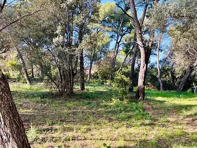 Terrain à bâtir, 500 m²