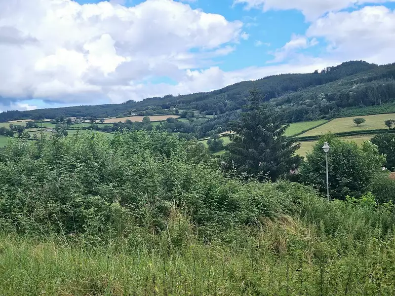 Terrain à bâtir, 600 m² - Matour (71520)