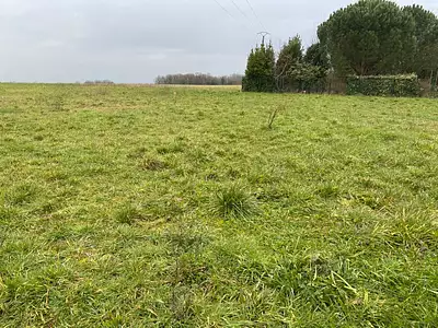 Maison neuve, 65 m²