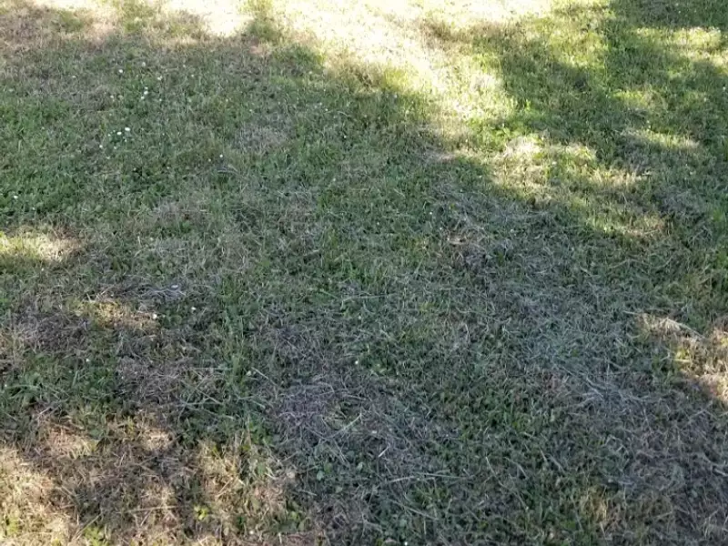 Terrain à bâtir, 660 m² - Créon (33670)